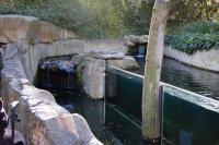 Imagine atasata: Zoo Berlin 0562.JPG